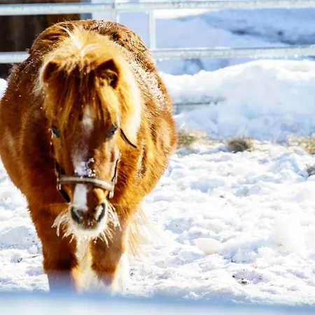 Hoferbichlgut Apartment Saalfelden