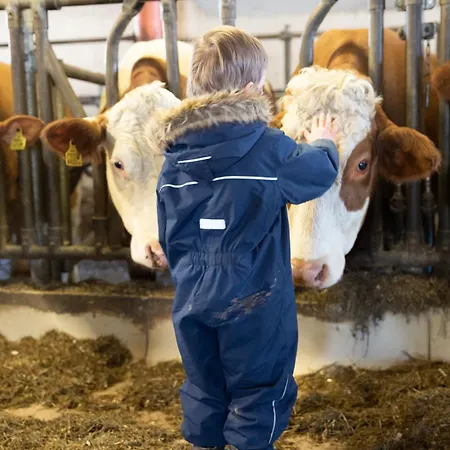 Hoferbichlgut Saalfelden