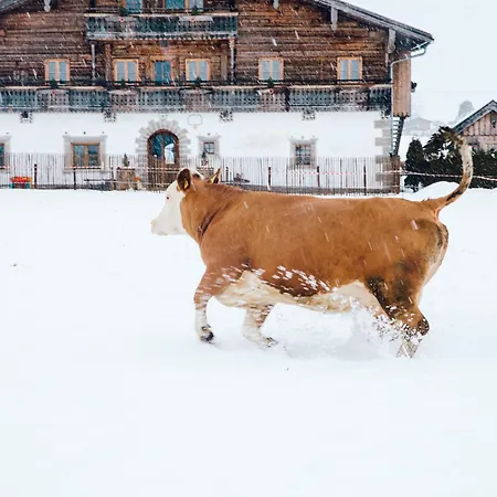 Hoferbichlgut アパート *