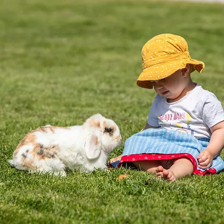 Hoferbichlgut Saalfelden
