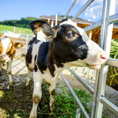 アパート Hoferbichlgut *