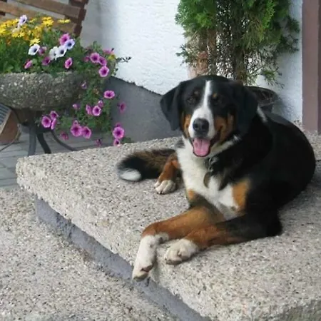 Hoferbichlgut Apartment