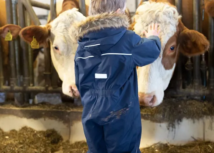 Hoferbichlgut Зальфельден